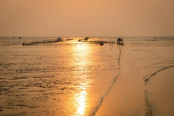 Quels avantages les croisières offrent-elles pour découvrir de nouvelles cultures ?