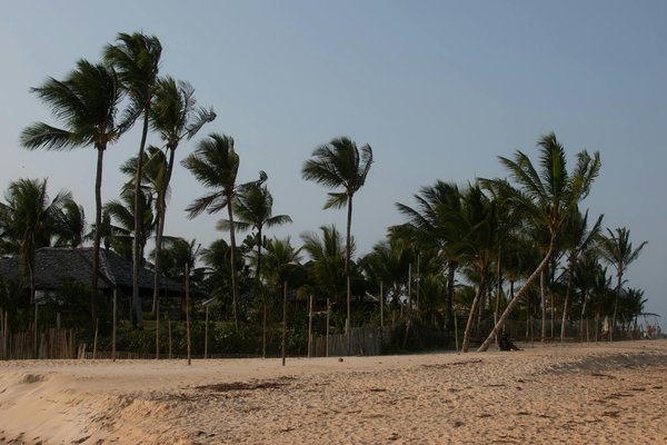 Guide Pratique pour Planifier votre Visite Guidée Privée Idéale